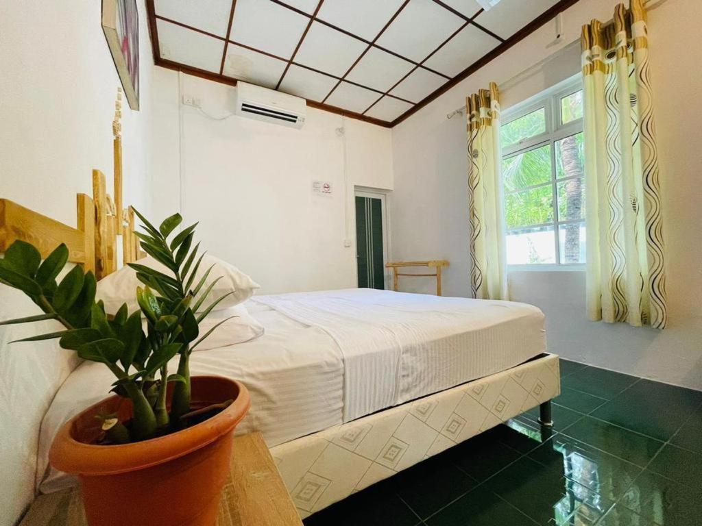 Fehendhoo Stay Exterior photo